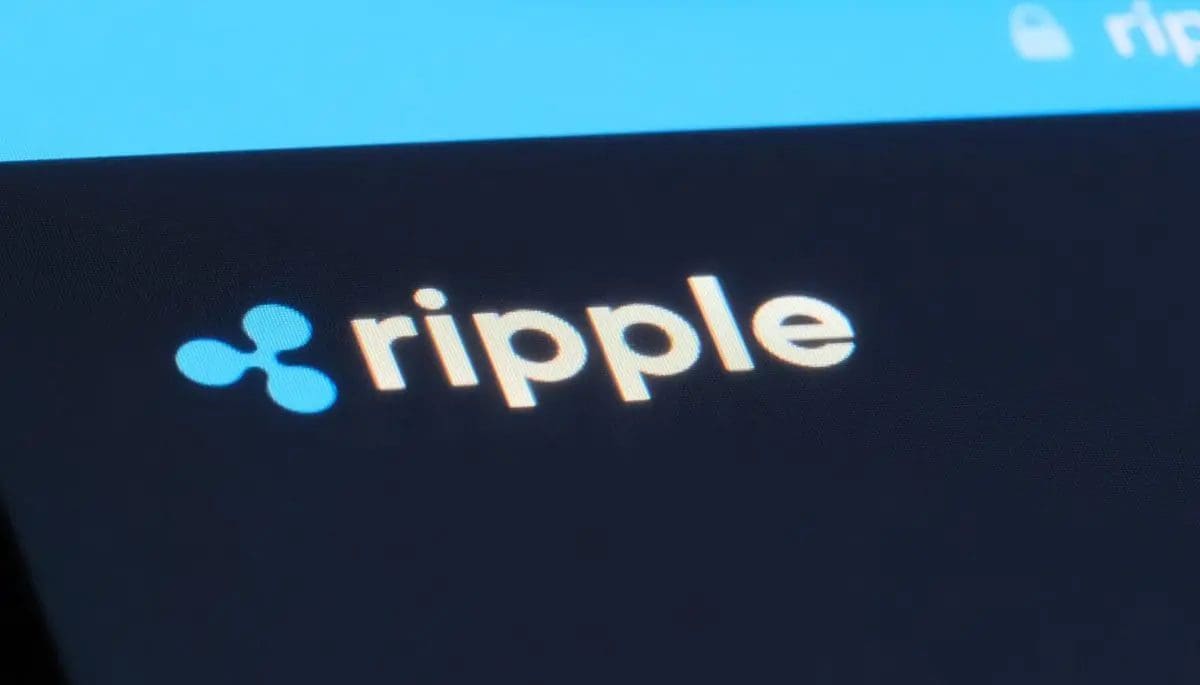 Jefe de Ripple alerta a los inversores de PEPE con mensaje enigmático