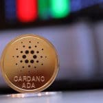 El ecosistema de Cardano florece con varios proyectos nuevos