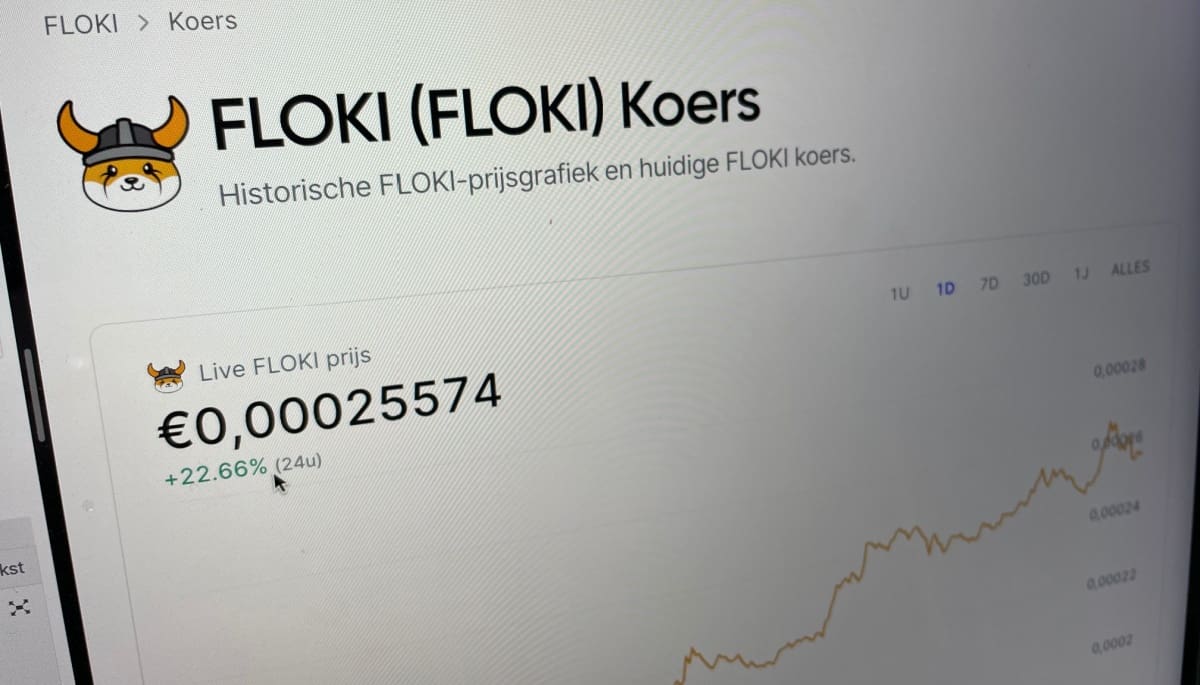 Falsificaciones de tokens FLOKI: Advertencia a los inversores