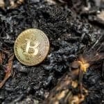 Un crypto jefe pierde accidentalmente BTC por valor de €744 millones