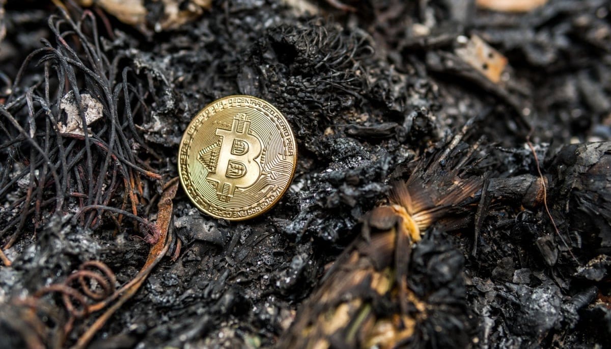 Un crypto jefe pierde accidentalmente BTC por valor de €744 millones