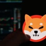 ¿Peligro para Shiba Inu? Una persona tiene el 10% de los tokens