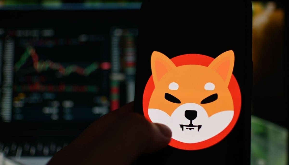 ¿Peligro para Shiba Inu? Una persona tiene el 10% de los tokens