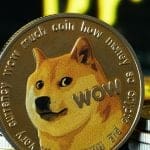 ¿Puede dogecoin llegar a $1? ¿Qué importancia tiene aquí Elon Musk?