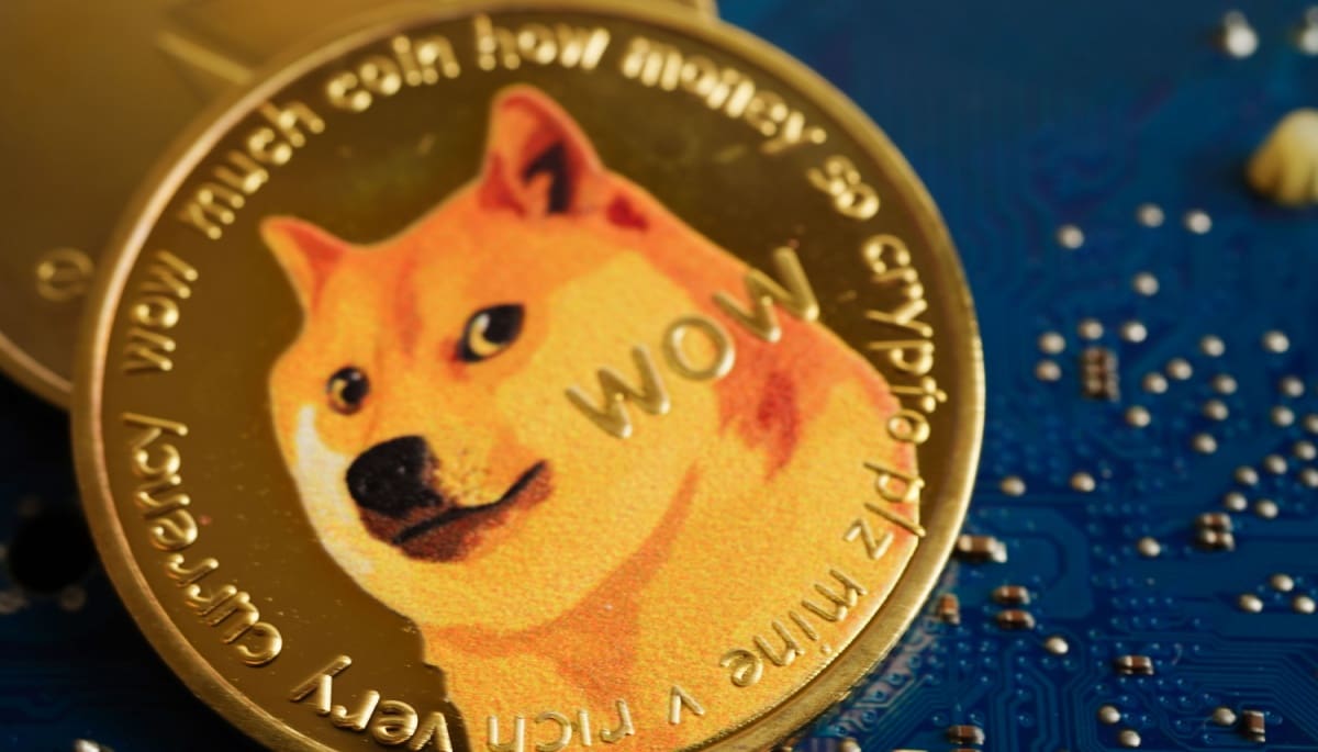 Dogecoin (DOGE) munt met Inversor pierde un millón de Dogecoin por un fraude en Reddit achtergrond